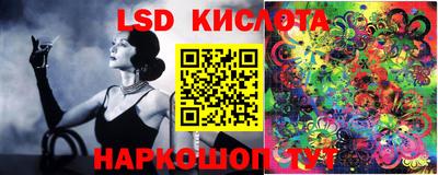 сатива Будённовск