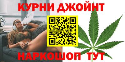сатива Будённовск