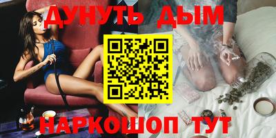 сатива Будённовск