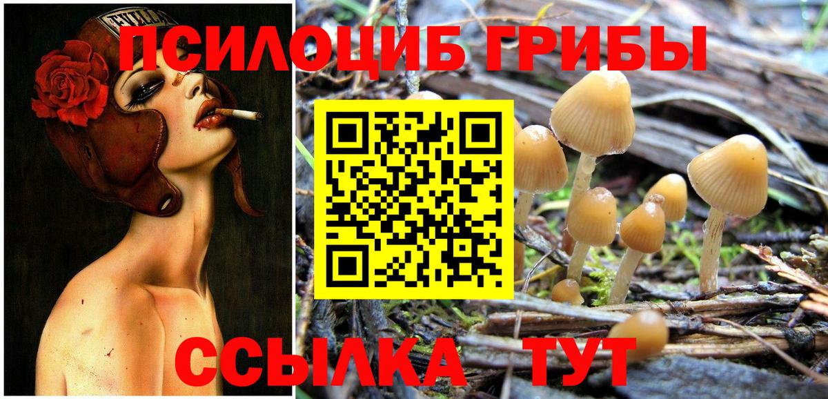 Галлюциногенные грибы мицелий  Псилоцибиновые грибы MAGIC MUSHROOMS  Мегион  Вход с VPN 